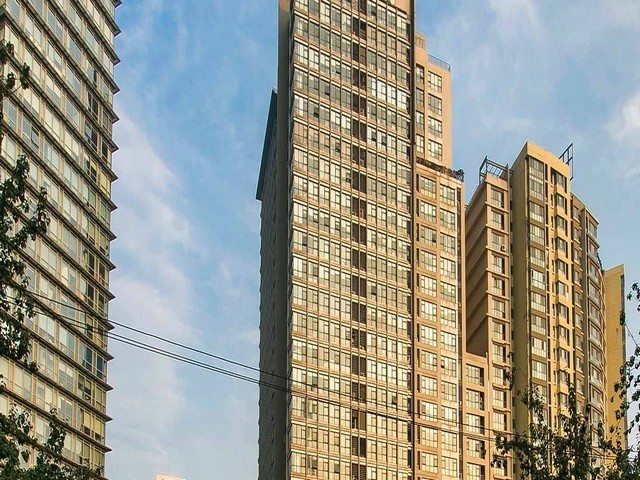 浙江无心磨振动盘推荐